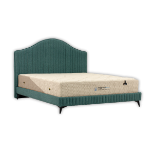 THERMAPEDIC
