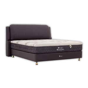 KINGPEDIC