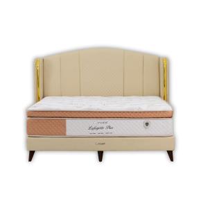 LAFAYETTE PLUS